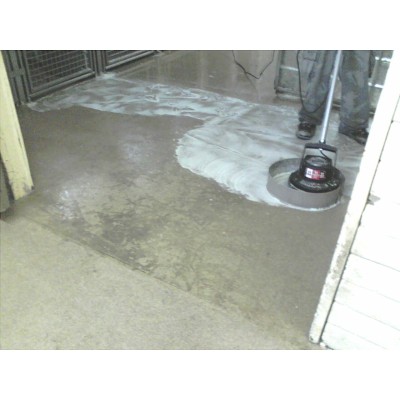 Monodisc LAVOR 1600W cu Perie Tynex pentru Beton | SIFEE