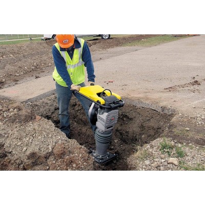 Mai compactor WACKER NEUSON BS60-2 Plus, motor WM80