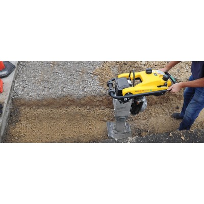 Mai compactor WACKER NEUSON BS60-2 Plus, motor WM80