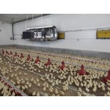 Tun de caldura SUSPENDAT cu ardere directa GA/N 45 BIEMMEDUE, putere 43kW, debit aer 2500mcb/h, GAZ PROPAN