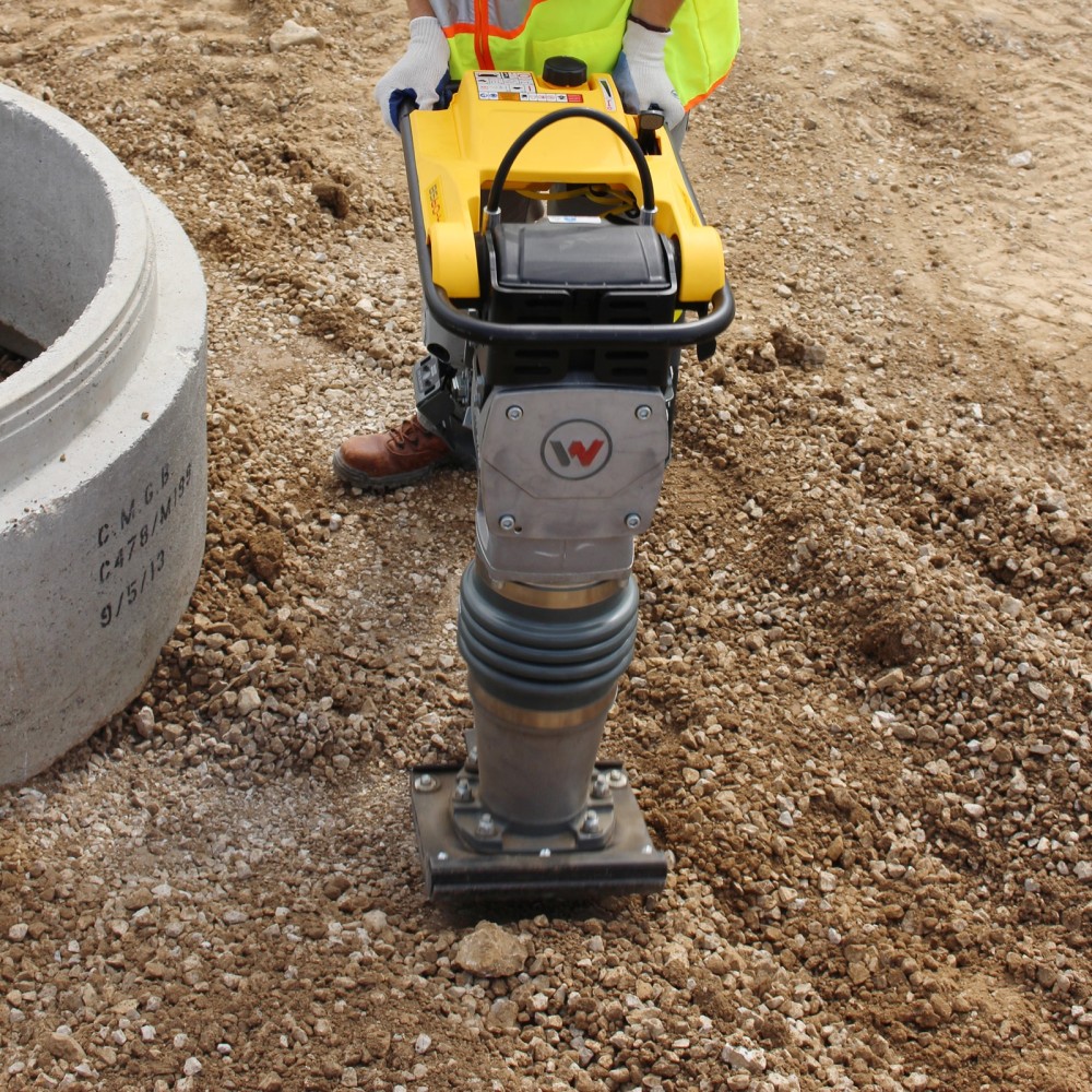 Mai compactor WACKER NEUSON BS60-2 Plus, motor WM80