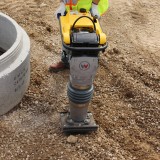 Mai compactor WACKER NEUSON BS60-2 Plus, motor WM80