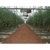 Tun de caldura SUSPENDAT cu ardere directa GA 100 C CALORE, putere 100,3kW, debit aer 5100mcb/h, PROPAN